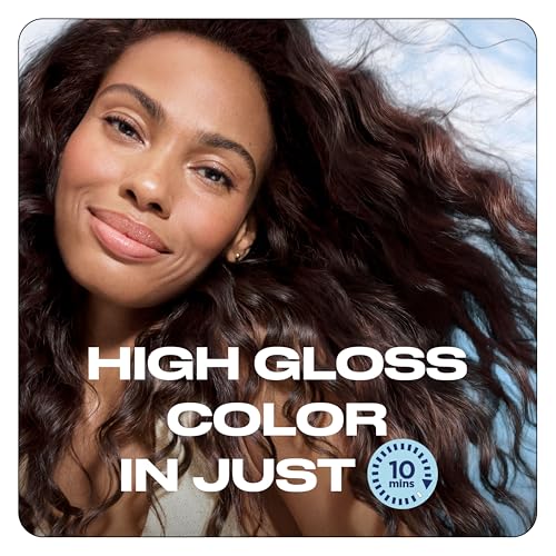Clairol Nice'N Easy 10 Permanent Hair Dye 6R Light Auburn - 1 Pack