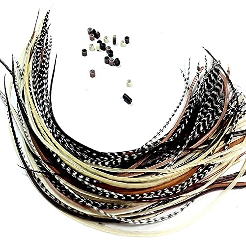 Feather Hair Extensions 20 Real Rooster Feathers with Beads