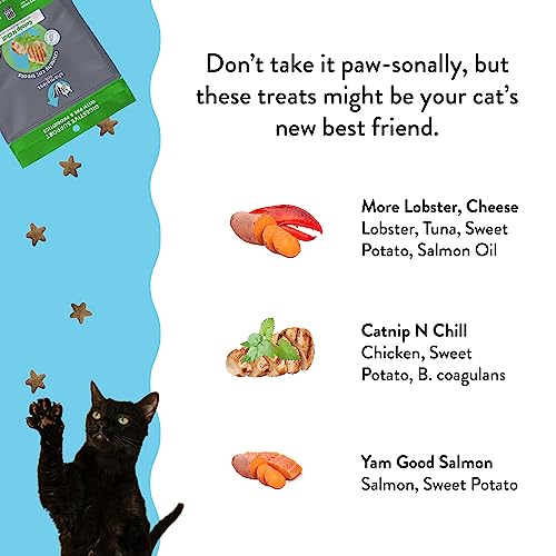 Shameless Pets Crunchy Cat Treats - Kitty Treats for Cats with Digestive Support, Natural Ingredients Kitten Treats with Real Ingredients, Healthy Flavored Feline Snacks - Variety Pack, 3-Pk