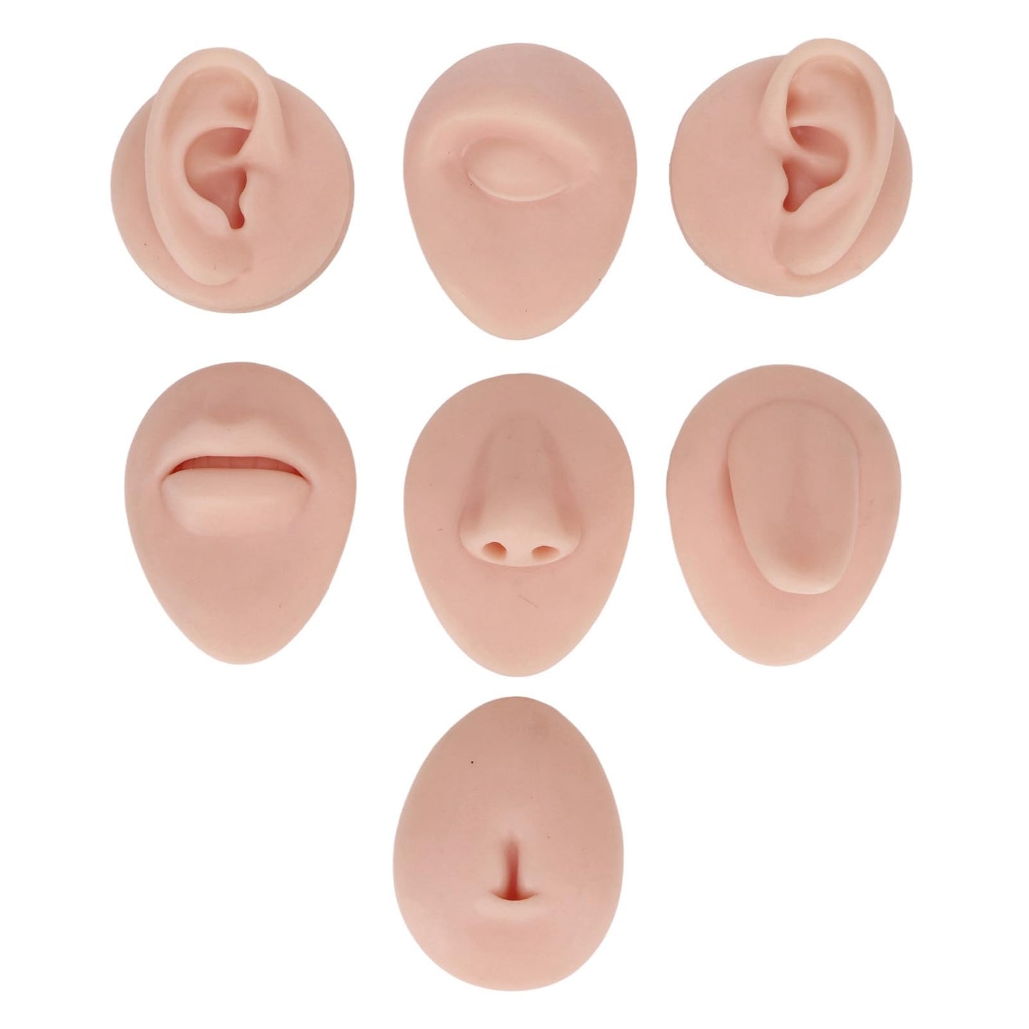Soft Silicone Flexible Model Body Part, Silicone Nose Tongue Mouth Eye Navel Ear Model Fake Ear with 2 Base for Piercing Practice Acupuncture and Jewelry Display Teaching Tool (Medium Fleshcolor)