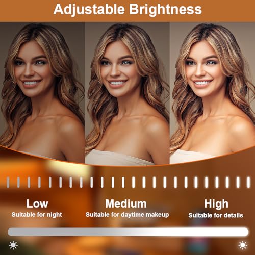 LED Makeup Mirror 10x12 with Smart Touch Control & 3 Color Lights