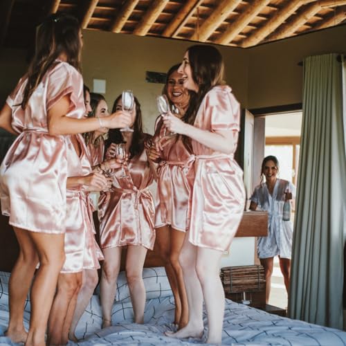 Bridesmaid Proposal Gift Set - 8 Mini Travel Hair Brushes