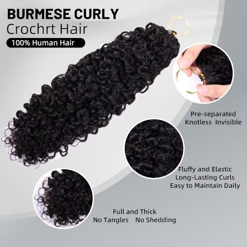 Burmese Curly Crochet Human Hair 120g - Knotless Pre-Separated