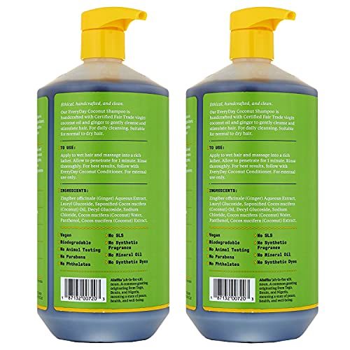 Alaffia EveryDay Coconut Shampoo, Gentle Cleansing Shampoo for Normal to Dry Hair, Made with Coconut Oil Rich in Vitamin E, No Parabens or Phthalates, Coconut, 2 pack - 32 Fl Oz Ea