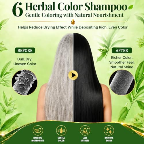 HIS&HERCHOICE Black Hair Dye Shampoo 3-in-1 Gray Coverage, Natural Black