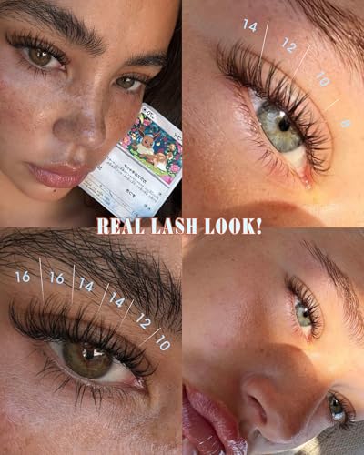 Newcally Wispy Lash Clusters Clear Band 8-16mm D-Curl