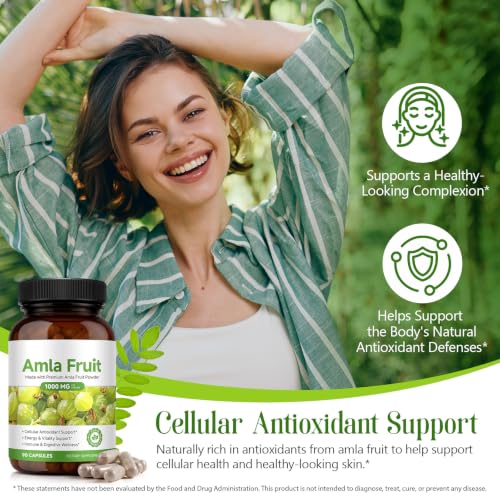 JYVGNLXS 1 Bottle - 90 Vegan High-Potency Amla Capsules for Cellular Support & Wellness