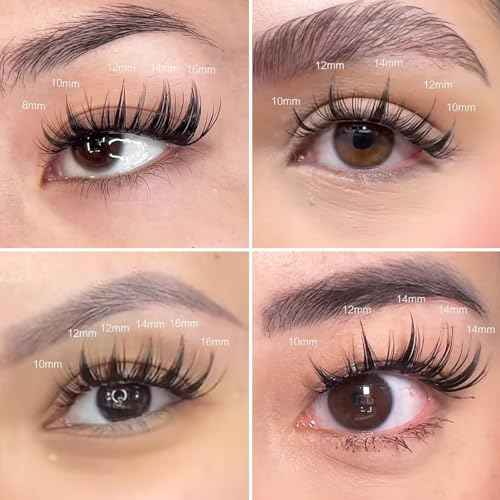 Fairy Lash Clusters Manga Lash Extensions, YASNAI Cluster Eyelash Extensions C Curl Individual Lashes 8-18MM 140pcs, Wet-Look Spiky Anime Lashes Eye Lash Clusters Ultra-Thin Clear Lash Band
