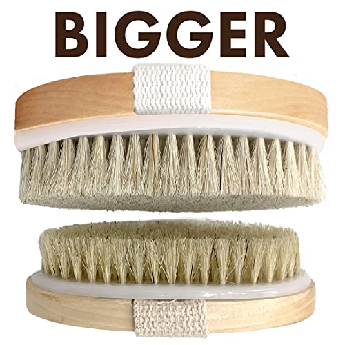 Scala Anti Cellulite and Exfoliator Bundle - Massager and Wet Dry Brush for Body Scrubber, Face and Body Massager, Exfoliates Dead Skin, Improving Circulation