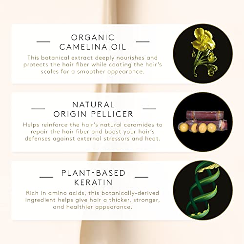 Rene Furterer Absolue Keratine Ultimate Repair Split End Serum - For Damaged, Over-Processed Hair - Repair & Restore, 1 fl. oz.