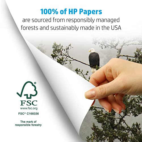 HP Papers Printer Paper 8.5 x 11 Paper Copy &Print 20 lb 80 Case Pallet - 192,000 Sheets 6 Pack Case - 2400 Sheets Made in USA - FSC Certified 800350P,White,200010P