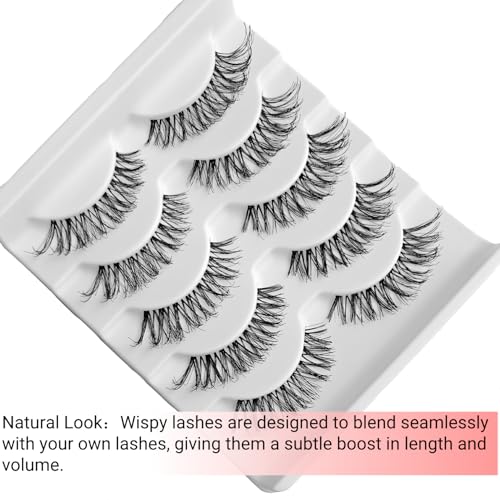 Wispy Natural False Eyelashes with Thin Clear Band - Cat Eye D Curl