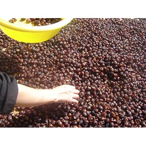 1.5 Pounds Organic De-seeded Soapberry/Soap Nut with Wash Bag