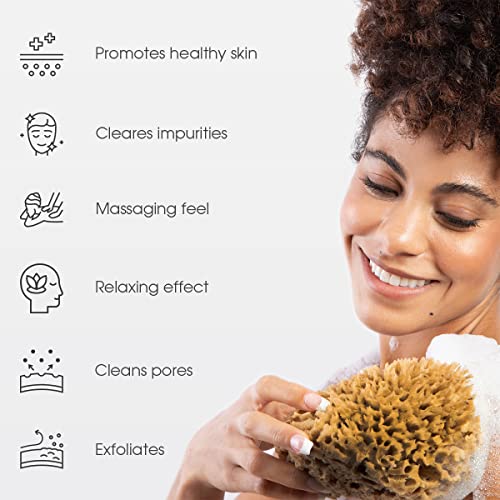 Naroa Natural Sea Sponge X Large | Soft Bath Loofah