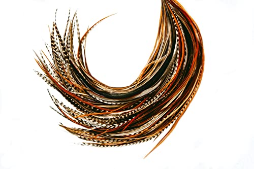 21 Natural Color Hair Feathers - 9”- 14” Long - Feathers for Hair Extension - DIY Kit - Eye-Catching Design - 20 Micro-link Beads - 100% Real Rooster Feathers - Professional Color Hair Feathers