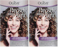 Ogilvie Salon Styles Professional Conditioning Perm Kit for Thin Hair (2-Pack)