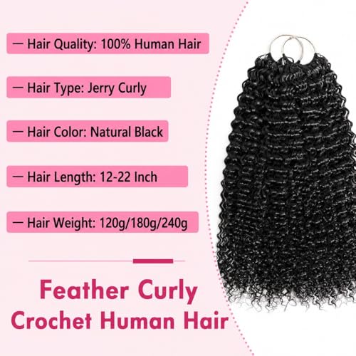 Jerry Curly Crochet Hair 12" 240g | 100% Human Hair Feather