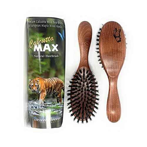 Calcutta Max ? 100% Pure Calcutta Extra Stiff Wild Boar Bristle Hair Brush ? Best Natural Hair Brush ? Thick Hairbrush for Styling & Smoothing ? Dark Maple Wood Handle ? Made in Europe
