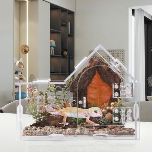 Acrylic Jumping Spider Enclosure House-Shaped Terrarium - Transparent, Breeding-Only Version