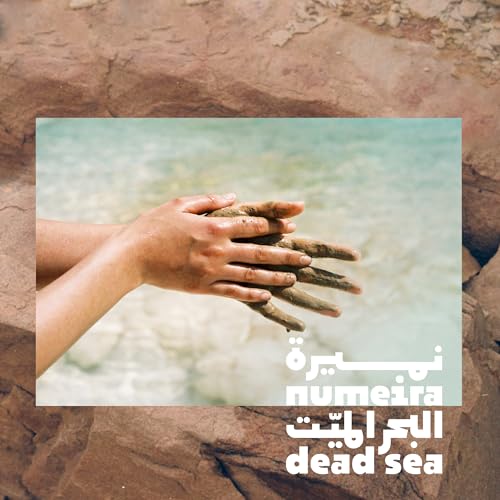 Dead Sea Mud Powder 100% Pure Cosmetic Clay Powder Rich in Minerals - Gentle Face Exfoliator Powder for Deep Cleansing, Body Scrub, or Clay Mud Mask - Pore Cleansing & Skin Detox - 1kg