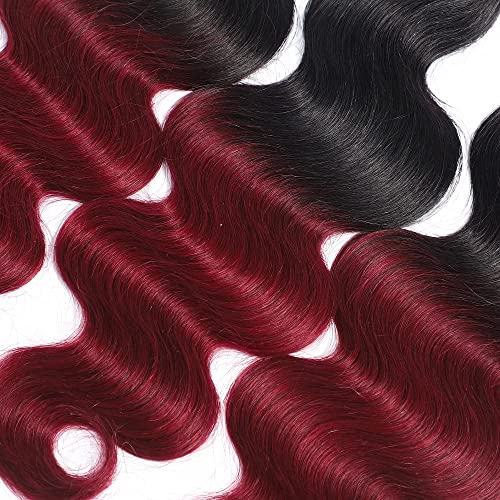 Virgin Hair Bundles 1B/99J Ombre Burgundy Body Wave 8-12 Inch