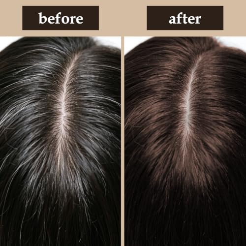 Instant Hair Color Comb - Gray Coverage Stick for Men & Women