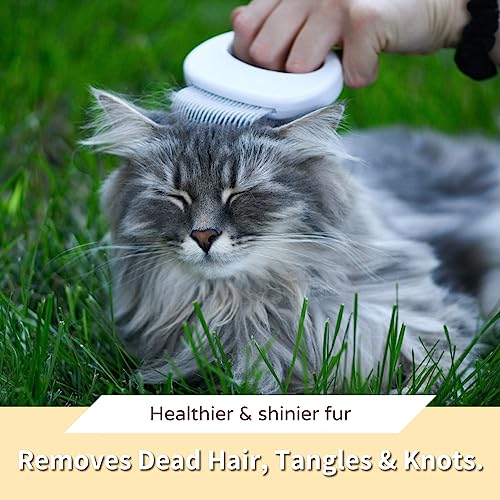 Leo's Paw Massaging Pet Hair Removal Shell Comb for Cats & Dogs
