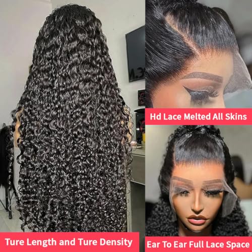 13x6 Water Wave Lace Front Wigs Human Hair Wigs 10A 250 Density HD Transparent Wet and Wavy Lace Front Wigs Glueless Deep Curly Lace Frontal Wigs Human Hair Pre Plucked for Women£¨12 Inch£©