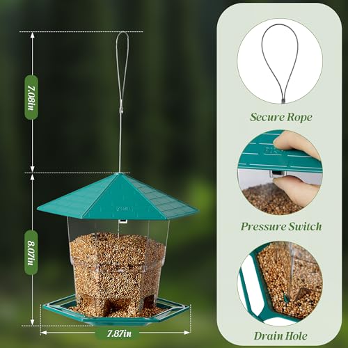 KSIA Squirrel Proof Bird Feeder with Large Capacity & Clear View