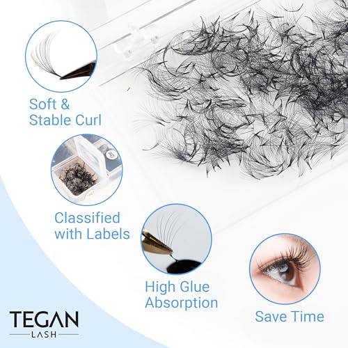 TEGAN LASH 500 Promade Fans Volume Eyelash Extensions, Handmade Loose False Eyelashes, From 3D - 16D, 0.03/0.05/0.07 Thickness, C/CC/D Curl, 9-15mm Length, Pestanas Pelo A Pelo (8D-0.05-CC-13)