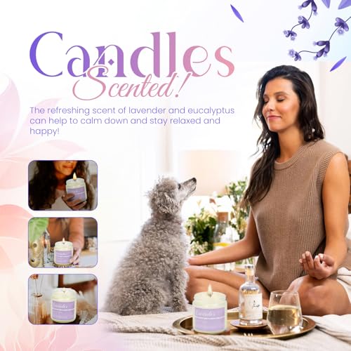 Valentine Basket for Her, Luxury Gift Basket for Women with Bath Bombs, Scented Candle, Reed Diffuser & Waterless Diffuser, Spa Gift Set for Wife, Girlfriend, Mom