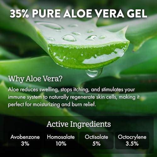 Aloe Up Sport Sunscreen Lotion SPF 30 - Broad Spectrum UVA/UVB Sunscreen Protector for Face and Body - With Hydrating Aloe Vera Gel - Non-Greasy No White Cast Reef Safe Fragrance-Free - 6 Oz.