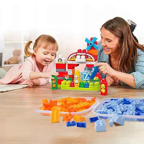 Clear Hard Plastic Zipper Case,Transparent Double Zippers Hard Pouch with 3pcs,Portable Travel Organizer Bin for Toy Storage