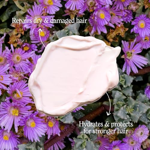 California Naturals Deep Repair Hair Mask - Argan Oil & Shea Butter