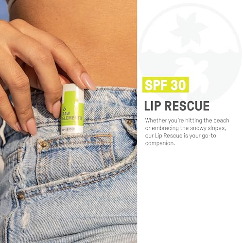 Raw Elements Organic Sunscreen Lip Balm - SPF 30, Reef-Safe