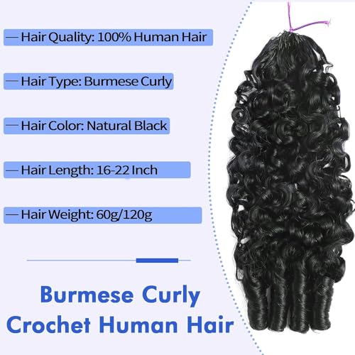Human Crochet Hair 18 Inch Burmese Curl 60g