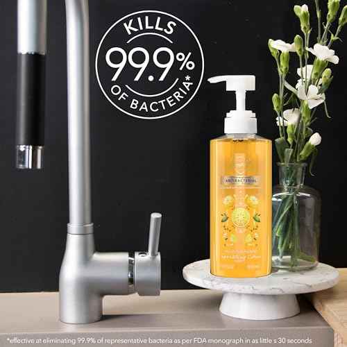 Safeguard Antibacterial Liquid Hand Soap, Micellar Deep Cleansing, Washes Away 99% Bacteria, Made with Natural Moisturizers & Skin Conditioners, PH Balanced, Sparkling Citrus Scent 15.5 oz (Pack of 4)