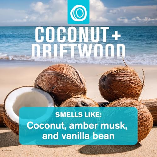 Every Man Jack Men's Bath and Body Gift Set - Coconut + Driftwood Scent - Clean Ingredients - Includes Hydrating Body Wash, 2-in-1 Shampoo, Aluminum-free Deodorant & Face Wash