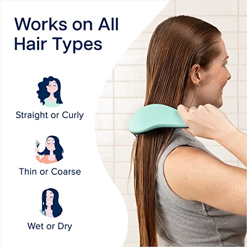 Crave Naturals Glide Thru Detangling Hairbrush - Wet & Dry Hair