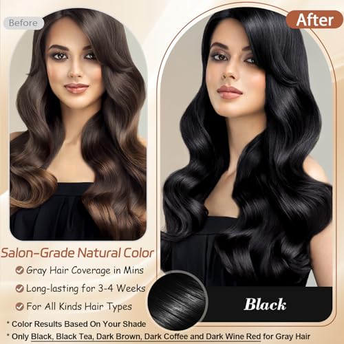 Black Hair Dye Shampoo - Instant Gray Coverage, 500ml