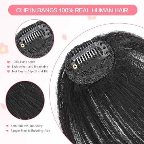 Clip-In Wispy Bangs Human Hair - Natural Black