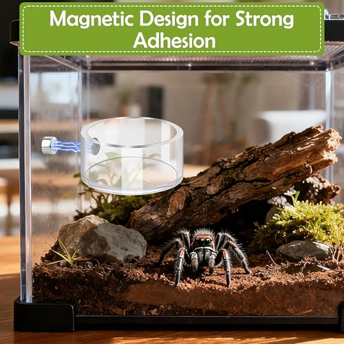 Jumping Spider Feeding Dish Set with Magnetic Water Bowl – 6 PCS