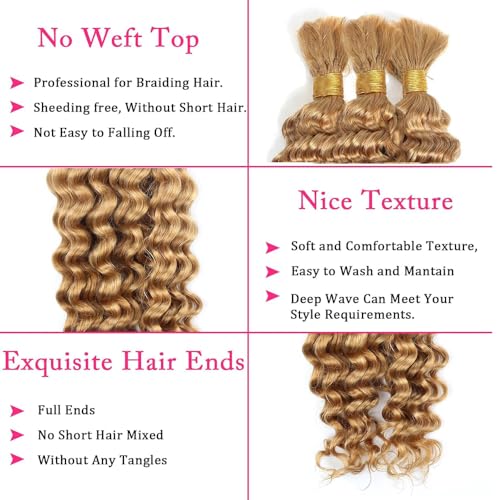 #27 Honey Blonde Human Hair Extensions - Deep Wave Braids, 3 Bundles