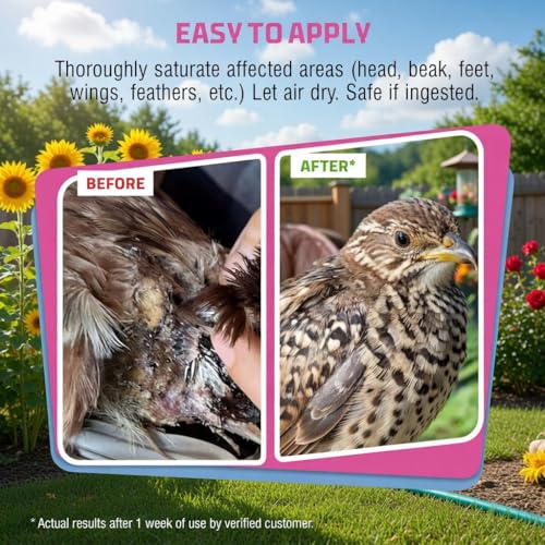 PetSilver Chicken Wound Spray - Natural Healing Solution for Birds