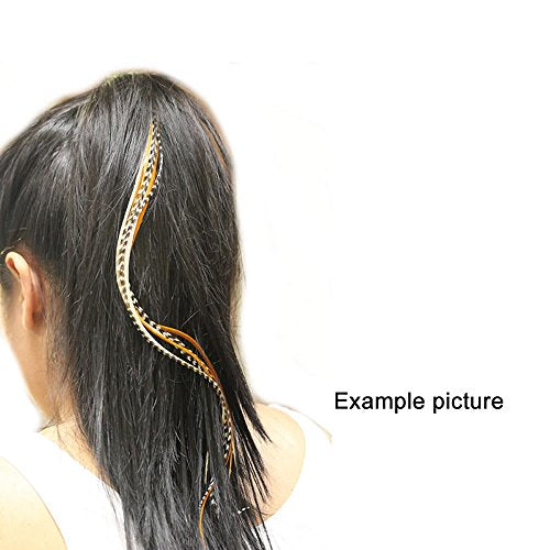 Feather Hair Extensions, 20 Real Rooster Feathers, 8-11 inches, with Beads & Tool