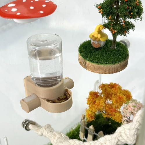 Magnetic Jumping Spider Water Dispenser & Feeder with Tweezers