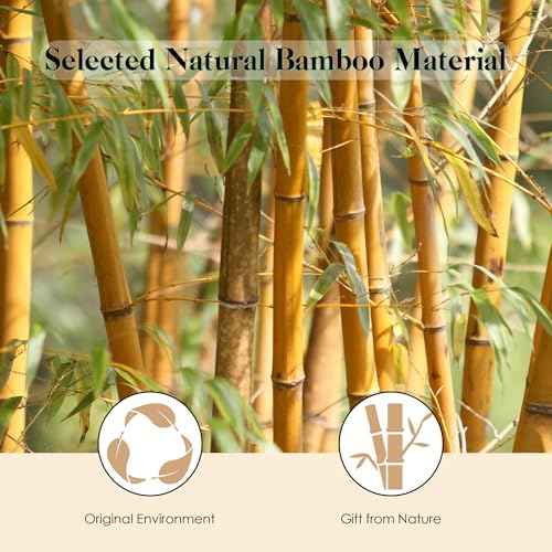 GAINWELL Hair Brush for Hair Growth, Bamboo Bristles Detangling Wooden Paddle Hair Brush for Massaging Scalp, All Hair Types Women Men Kids, Ergonomic Handle, Pointed Bristle