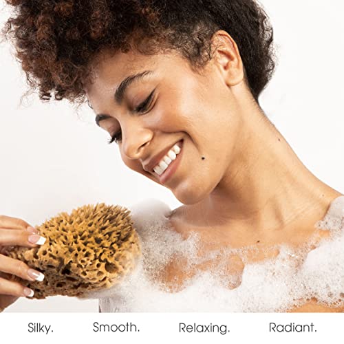 Naroa Soft Natural Sponge | Gentle Sea Sponge for Bathing Healthy Skin | Unbleached Shower Body Scrubber Puff | Eco Friendly Bath Spa Sponge (Soft - Medium)