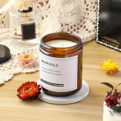 8oz Dark Amber Candle Jars - 12 Pack with Metal & Plastic Lids