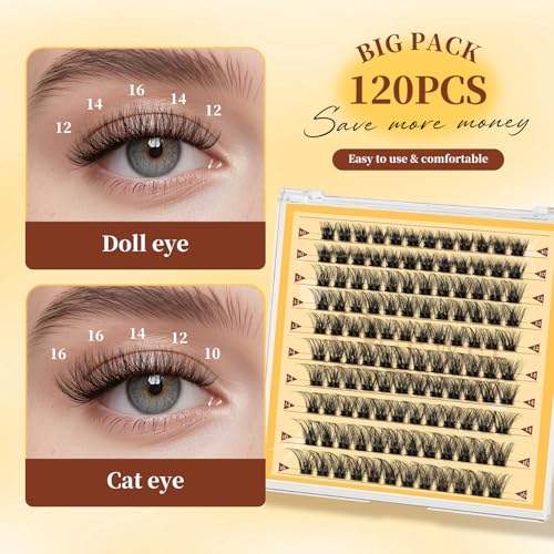UCANBE 2 PCS Eyeshadow Makeup Palette Kit, 12 Color Nude Eye Shadow Set, Neutral Matte Shimmer Make Up Pallet With Double-Ended Brush, Highly Pigmented Long Lasting Waterproof